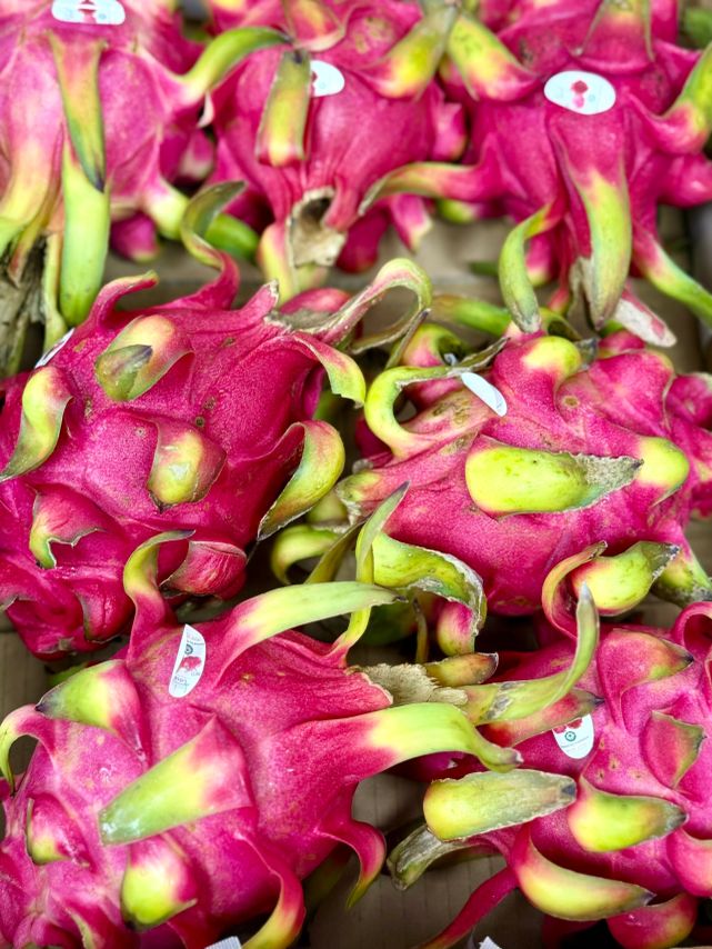 Vibrant pink dragon fruit