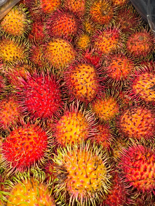 Colorful red and golden rambutan