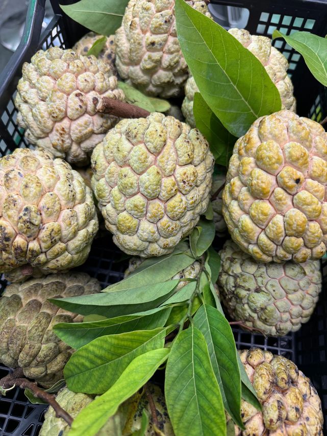 Fresh sugar apples